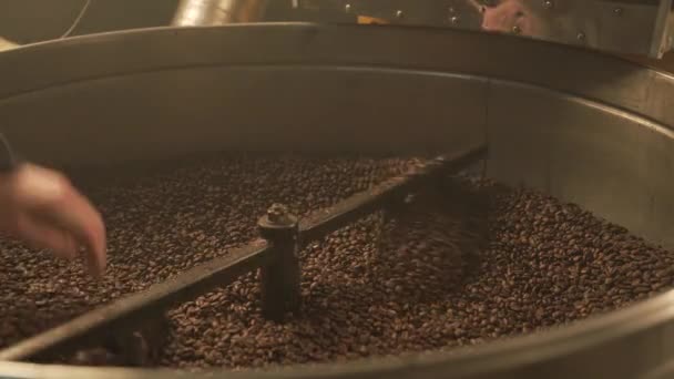 Coffee bean mixing device at work - Filmati, video