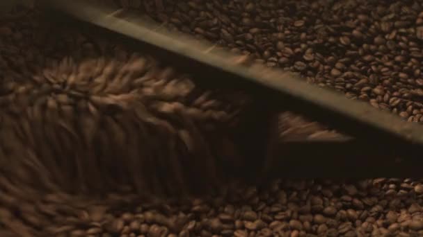 Raw coffee bean mixing device at work - Video