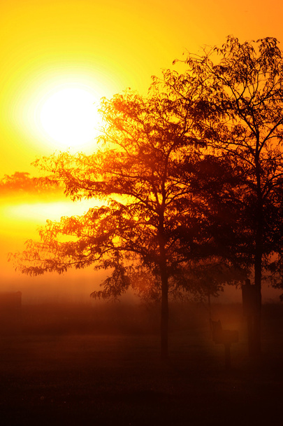 Sun rise - Photo, Image