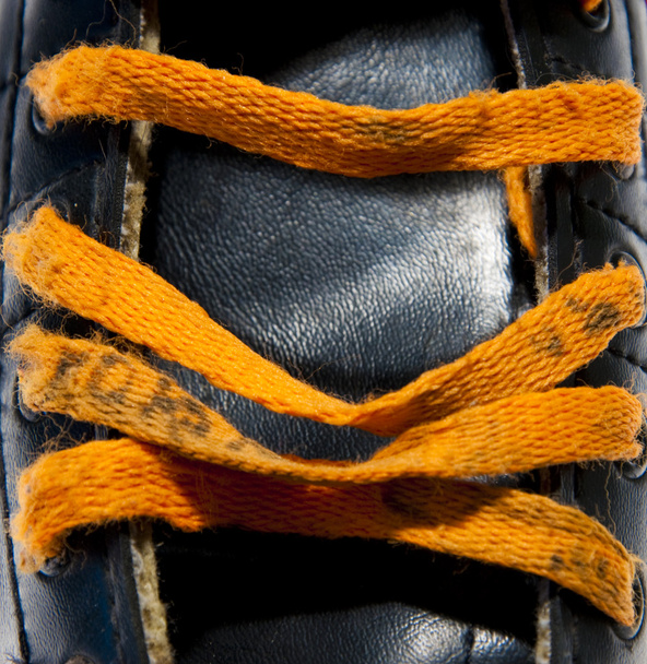 Оранжевые дыры на черном коньке
 - Фото, изображение