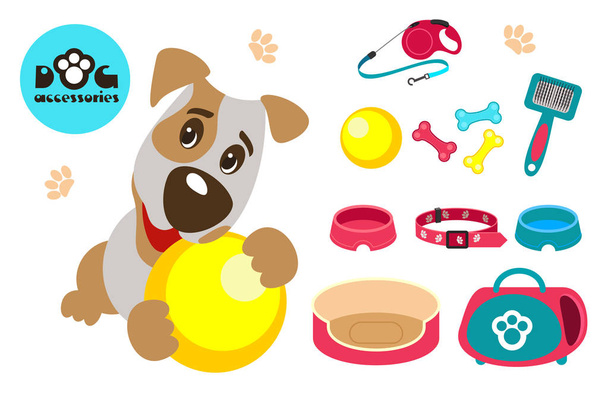 Collection of accessories for dogs. Funny dog Jack Russell Terrier plays with the ball. Vector illustration isolated on white background. - Vector, Image