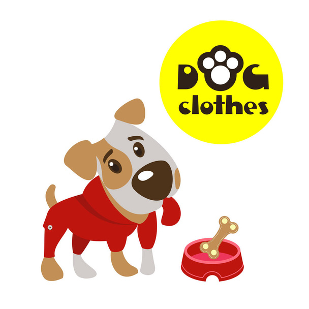Dog, vector illustration. The Jack Russell Terrier. Clothing for dogs. - Vector, Image