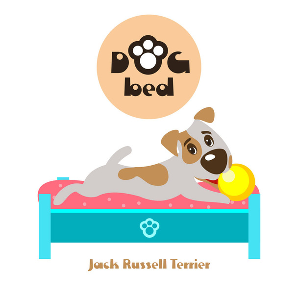The dog is lying on the bed with the ball. Vector illustration.  - Vector, Image