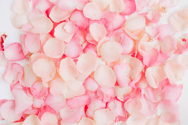 rózsaszín rózsaszirmok - Fotó, kép