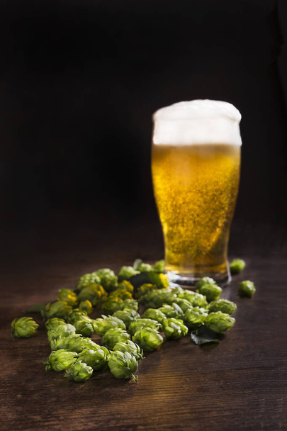 Green hops with a glass of fresh beer. - Photo, Image