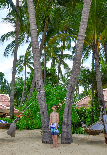 Αγόρι, φοίνικες, και hammocs στην πανέμορφη τροπική παραλία - Φωτογραφία, εικόνα