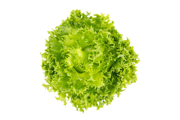Вид сверху на листья салата, Фрице Айсберг
 - Фото, изображение