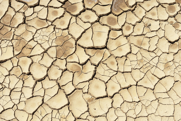 Tierra seca
 - Foto, imagen