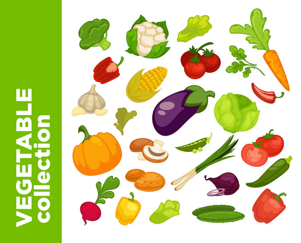 Different vegetables icon - Vector, imagen