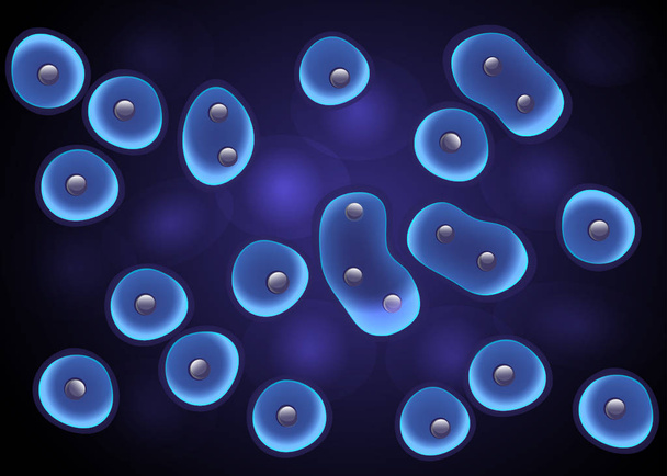 Sejtek kék háttérrel, lumineszcencia membrán hatása és a mag. Vektor - Vektor, kép