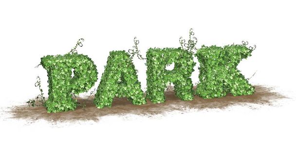 Logotipo del parque de hojas de hiedra verde separadas sobre fondo blanco
 - Foto, imagen
