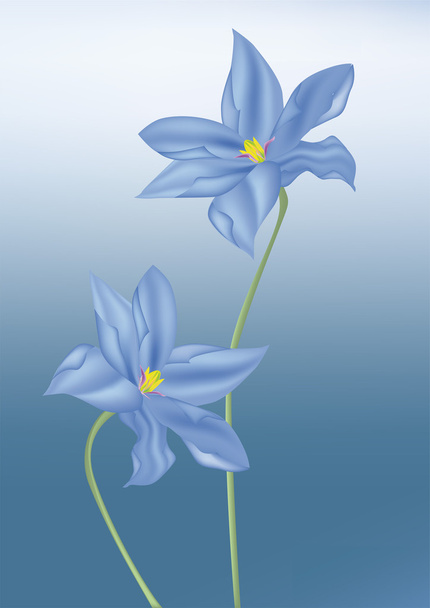Flor azul oscuro
 - Vector, Imagen