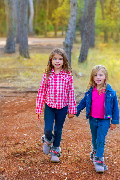 children sister girls walking at the pine forest - Foto, afbeelding