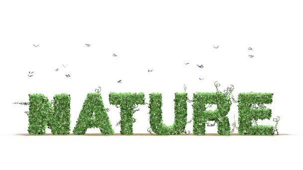 Logo della natura da foglie di edera verde separate su sfondo bianco
 - Foto, immagini