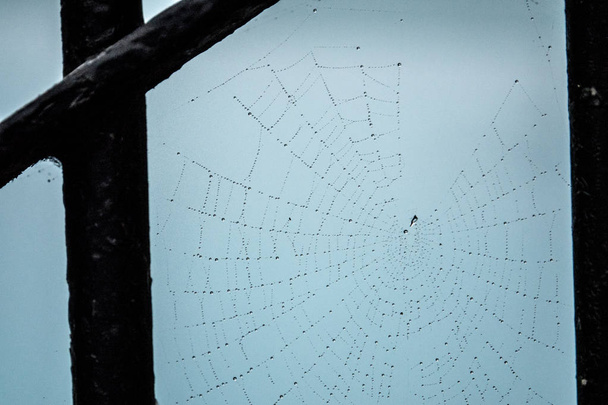 O orvalho cai em uma teia de aranha - Foto, Imagem