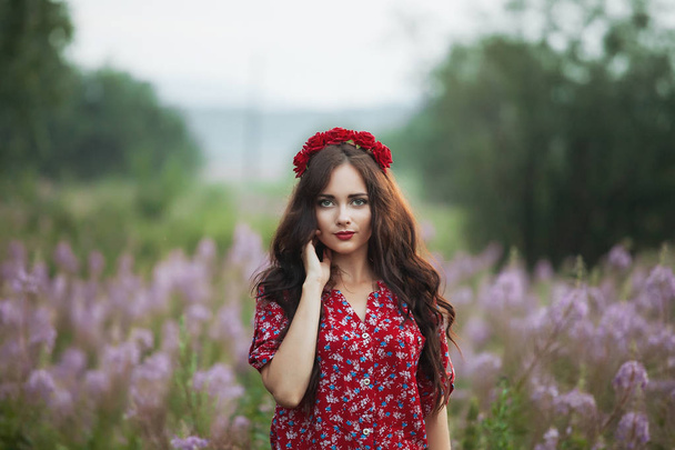 Beautiful young girl in a field on the background colors - Photo, Image