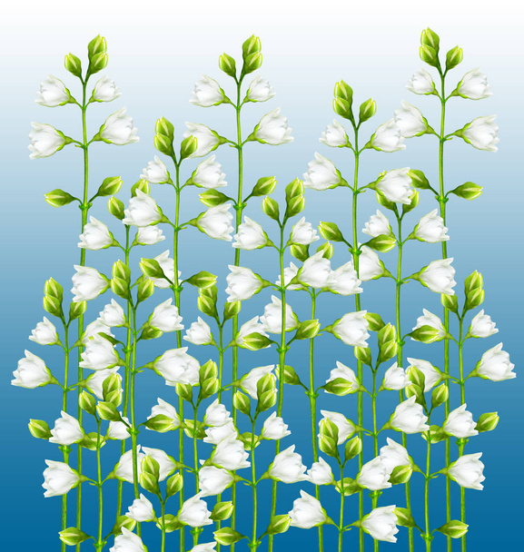 Gelsomino bianco Il ramo delicati fiori primaverili
 - Foto, immagini