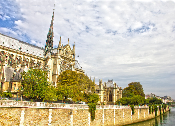 Katedrála Notre Dame, Paříž, Francie - Fotografie, Obrázek