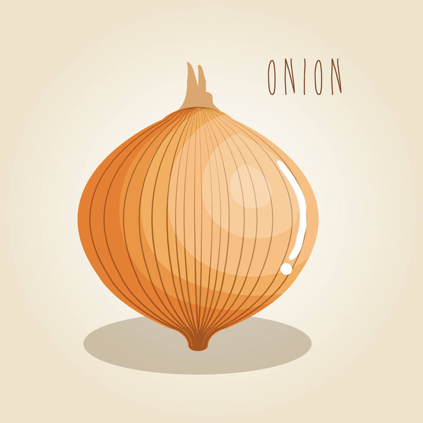 onion fresh vegetable icon - Vector, Image