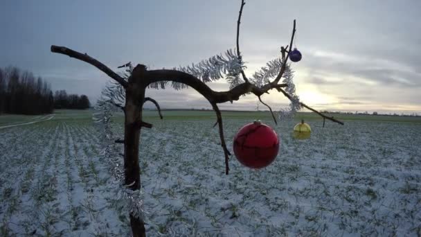 tree branch on winter  field with Christmas bauble, time lapse 4K - Footage, Video