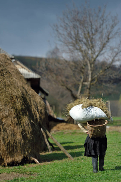 Mujer llevando saco de heno
 - Foto, Imagen