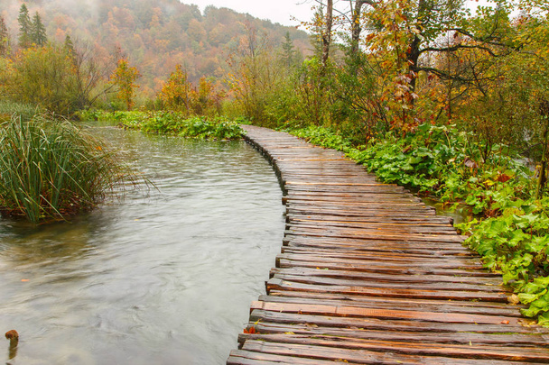 プリトヴィチェ湖群国立公園の木製観光パス - 写真・画像