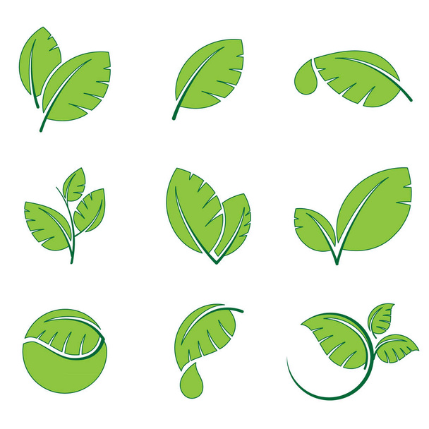 Green leaves leaf symbol vector icon set - Vettoriali, immagini