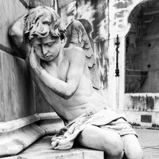 A Recoleta gyász angyal - Fotó, kép