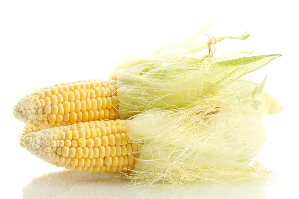 fresh corn, isolated on white - Φωτογραφία, εικόνα