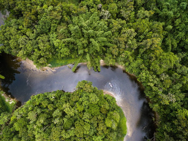vista del río en la selva tropical
 - Foto, imagen