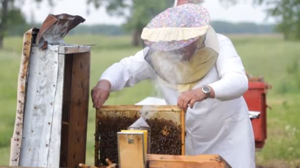 apicultor com favos de mel
 - Filmagem, Vídeo