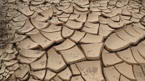 Tierra seca estéril
 - Metraje, vídeo
