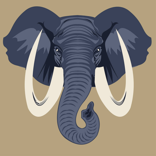 elefante icono camiseta
 - Vector, Imagen