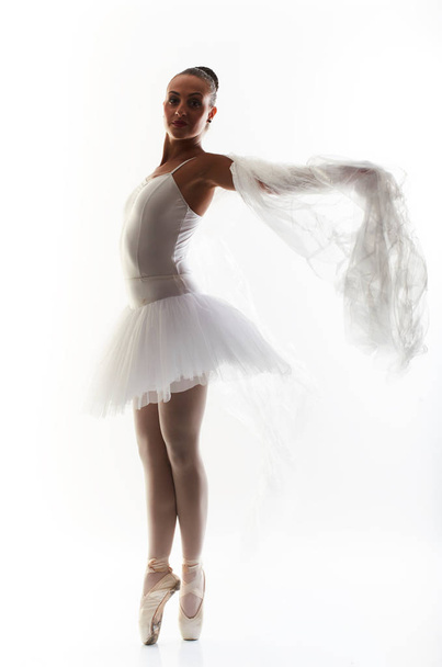one young woman ballerina ballet dancer dancing with tutu in silhouette studio on white - 写真・画像