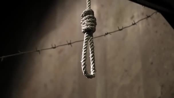 Gibbet and barbed wire  - Footage, Video