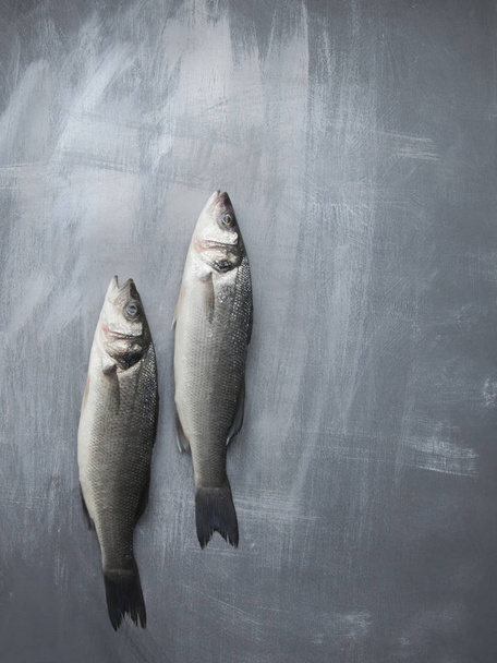 Two raw whole fish sea bass on grey shabby background.  - Fotó, kép