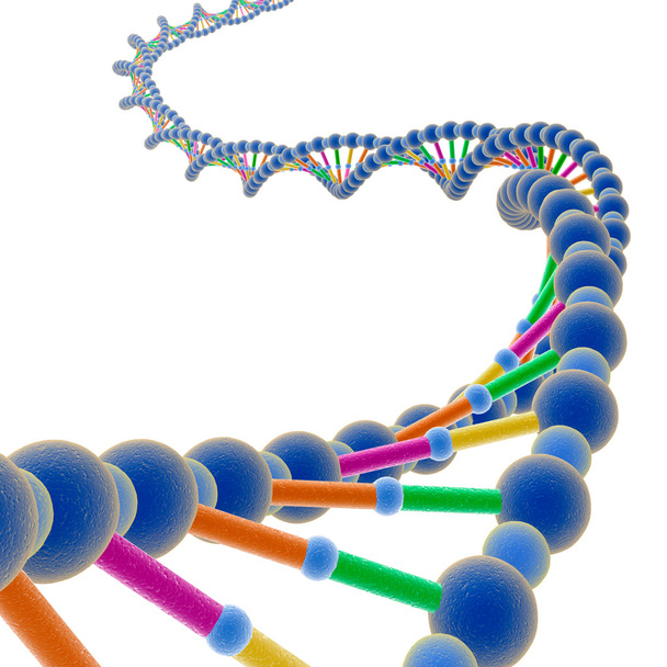 ДНК на белом фоне
 - Фото, изображение
