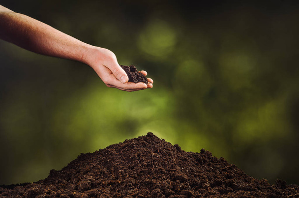 Hand pouring black soil on green plant bokeh background - Photo, image