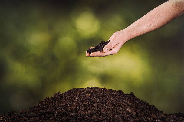 Hand pouring black soil on green plant bokeh background - Photo, Image