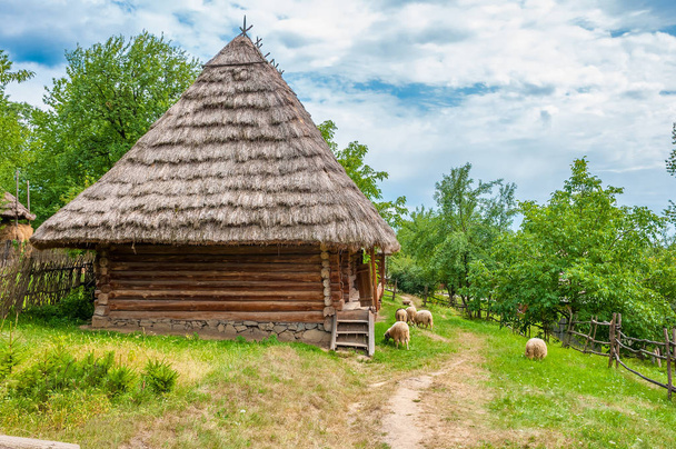 oude traditionele Oekraïense landelijk gelegen vakantiehuis met een stro dak - Foto, afbeelding