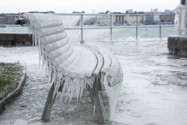 Kışın donmuş tezgah - Fotoğraf, Görsel