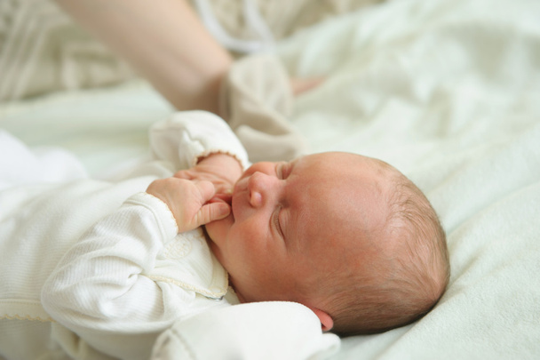 Newborn baby - Zdjęcie, obraz