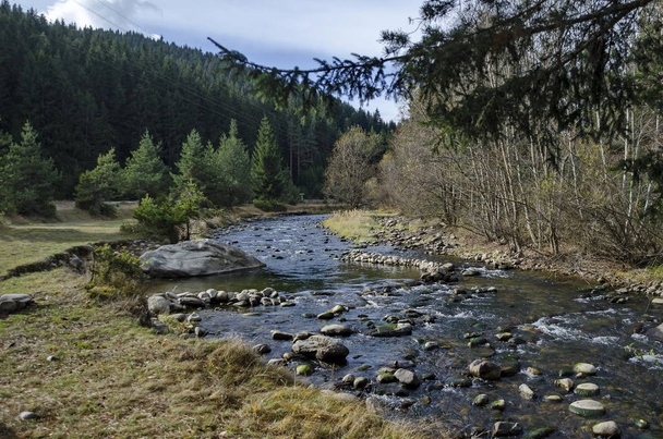Kaunis näkymä Rila vuorelle metsän ja joen Iskar
 - Valokuva, kuva