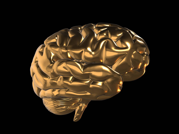 3D činí z golden mozku na černém pozadí  - Fotografie, Obrázek