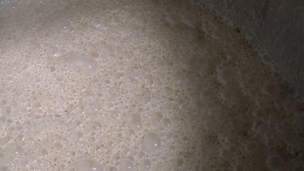 工場酵母発酵のクローズ アップの発酵 - 映像、動画