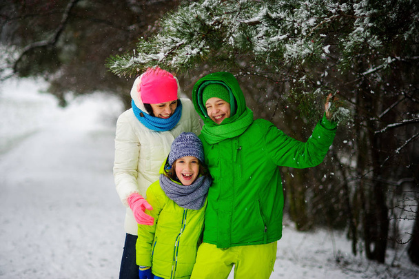 Mère avec deux fils sur la promenade dans la journée d'hiver
. - Photo, image