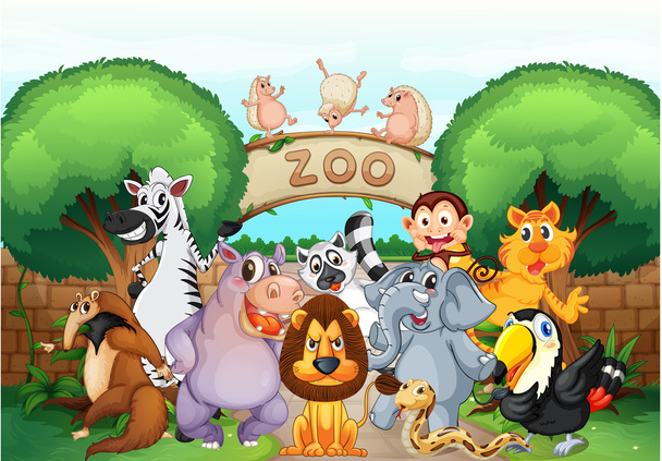zoo and animals - Vector, Image