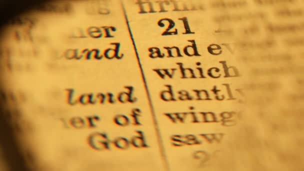 oude Heilige Bijbel - Video