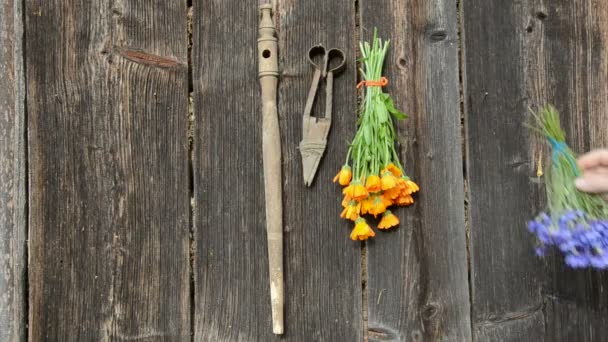 Lógó nyári gyógynövények csomó a régi, fából készült fal - Felvétel, videó