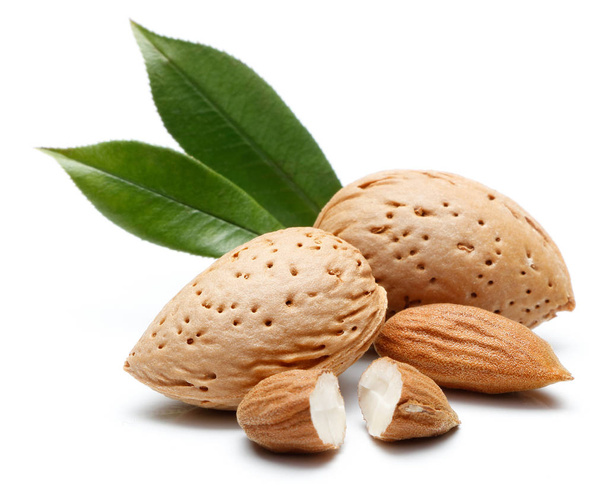 Mantelipähkinä eristetty
 - Valokuva, kuva